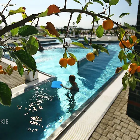 Termy Warminskie Курортный комплекс 4*